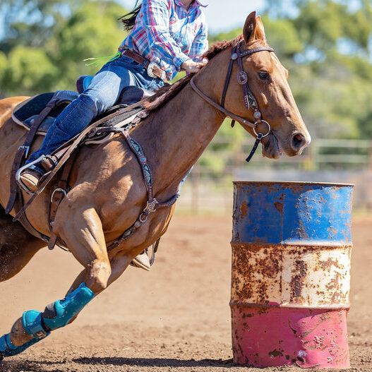 Mesa County Fair Mesa County Fair in Grand Junction, CO